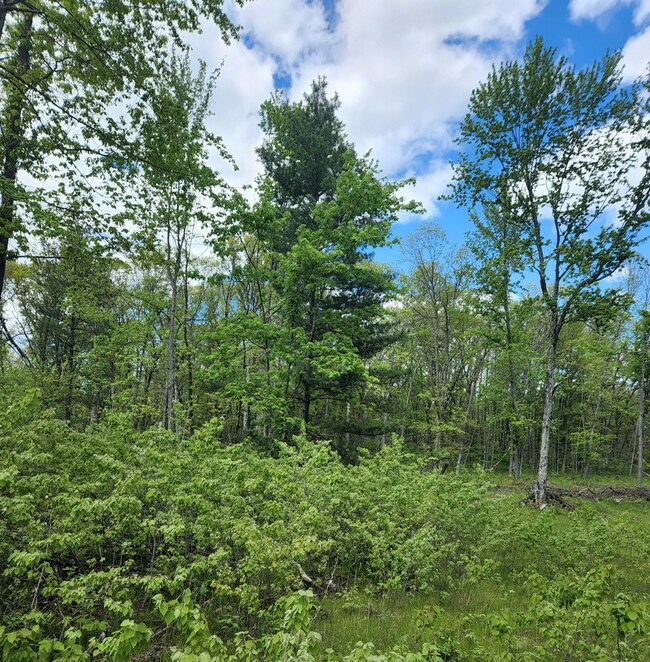 9577 N Woodbridge Dr Ave, Bitely, MI 49309 - photo 4