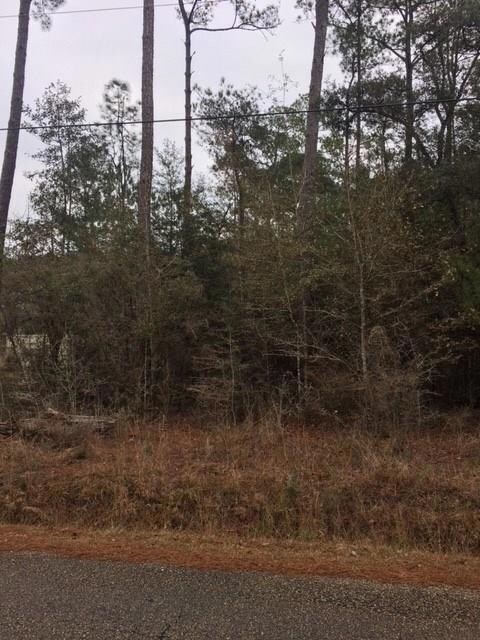 Lot 2 Maple Ln, Mandeville, LA 70448 - photo 3