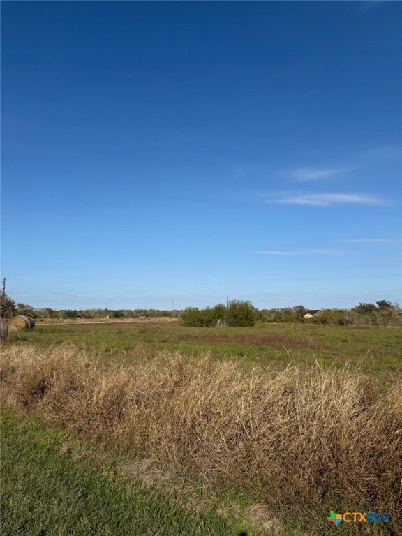 000 River Hollow Way, Blessing, TX 77465 - photo 7