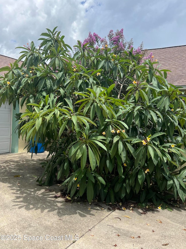 4220 Robins Hill Ct, Mims, FL 32754 - photo 4