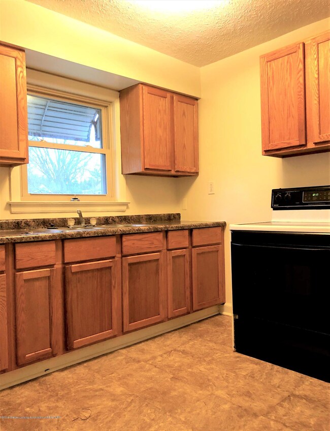 1004 Hapeman St, Lansing, MI 48915 - photo 6