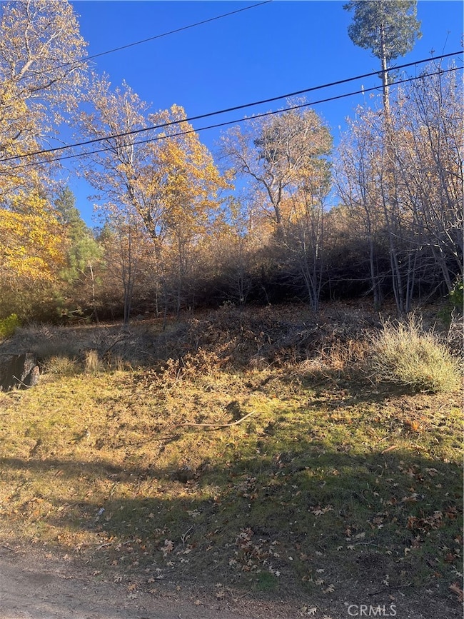 29834 Juniper Dr, Cedar Glen, CA 92321 - photo 4