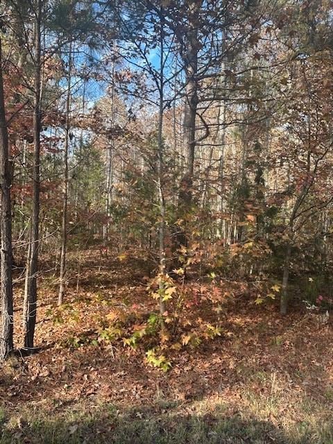 0 Oak Creek Dr, Big Sandy, TN 38221 - photo 4