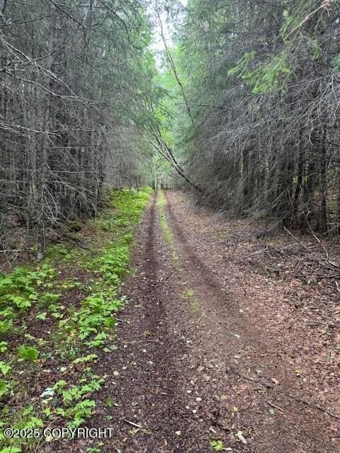 Trail access to Bear Cove