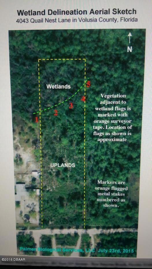 Wetland Delineation Report