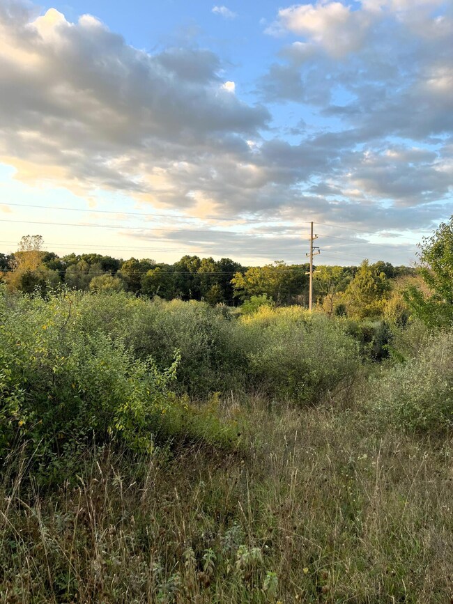 0 Dexter Chelsea Dr Parcel B 3 unit 24052080, Dexter, MI 48130 - photo 7