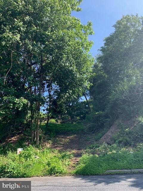 120 Ardmore Ave, Reading, PA 19607 - photo 2