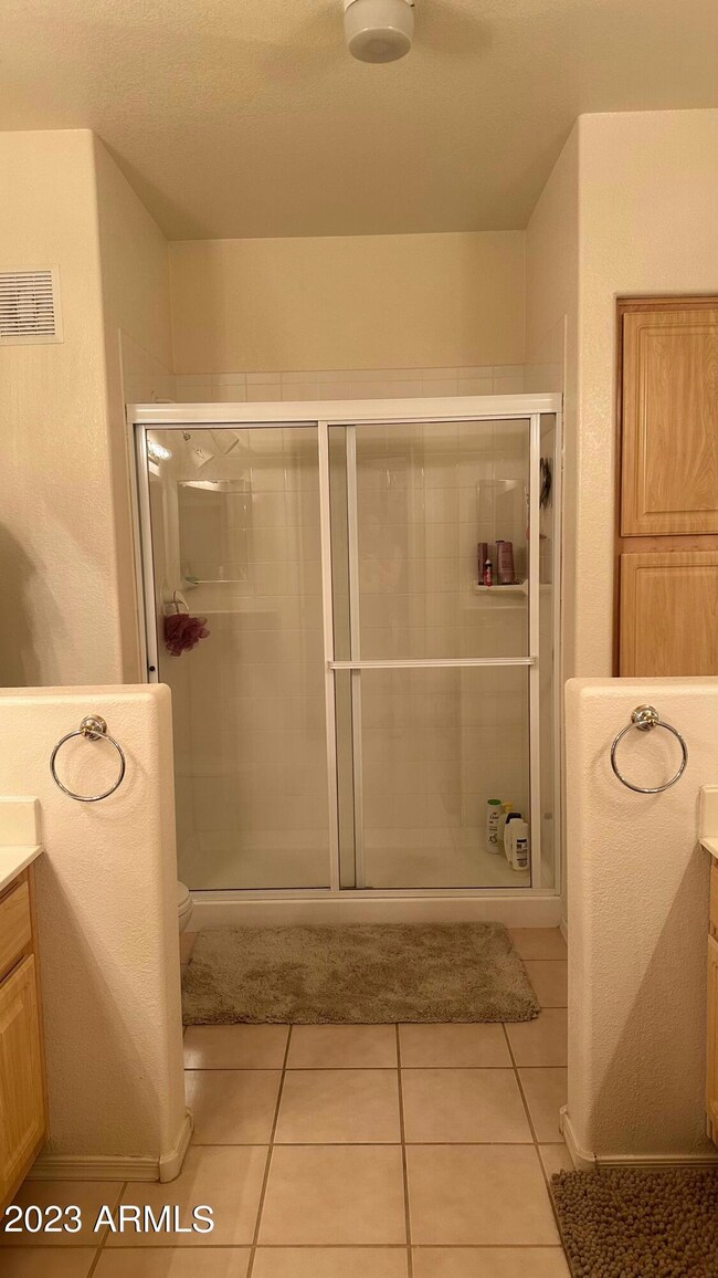 Primary bath shower