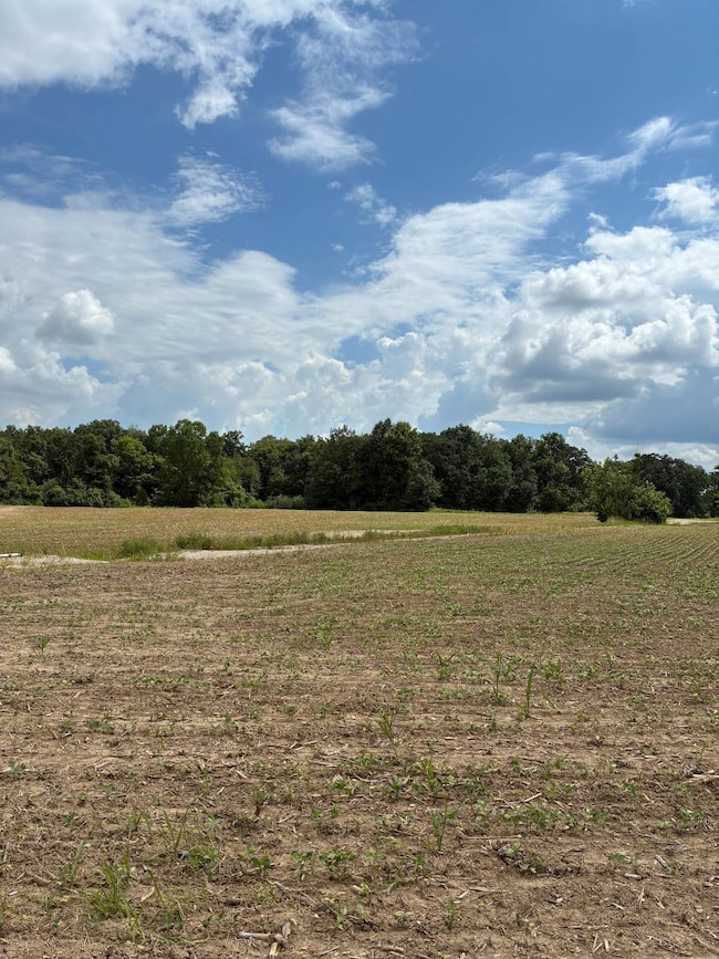 000 Tool House Rd, Bridgeport, IL 62417 - photo 7