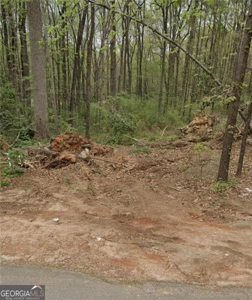 15 Guthrie Place, Stockbridge, GA 30281 - photo 2