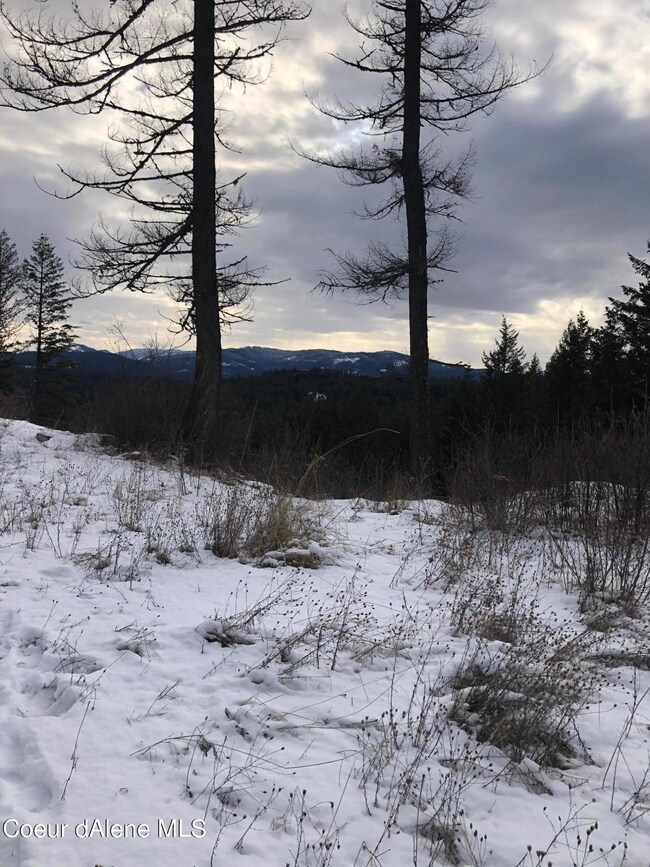 NNA F8&F9 S Idaho Club Dr, Sandpoint, ID 83864 - photo 2