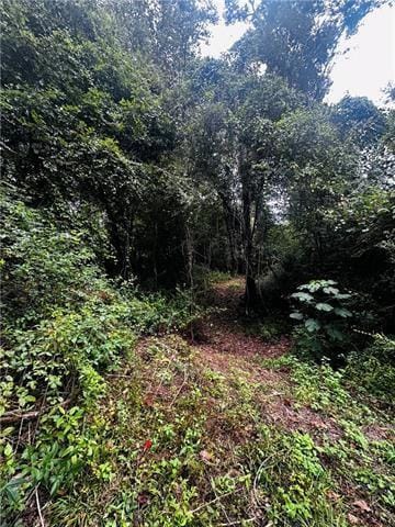 Parcel 7 16 Hwy, Franklinton, LA 70438 - photo 4