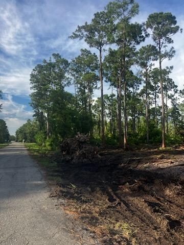 2018 Canton Ave, Alva, FL 33920 - photo 5