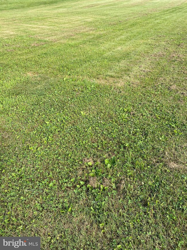 0 Locust Ext Xt St unit PAYK2024084, Mount Wolf, PA 17347 - photo 3