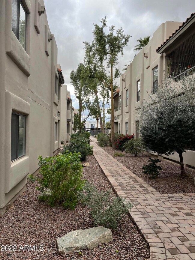 3640 N 38th St unit 202, Phoenix, AZ 85018 - photo 4