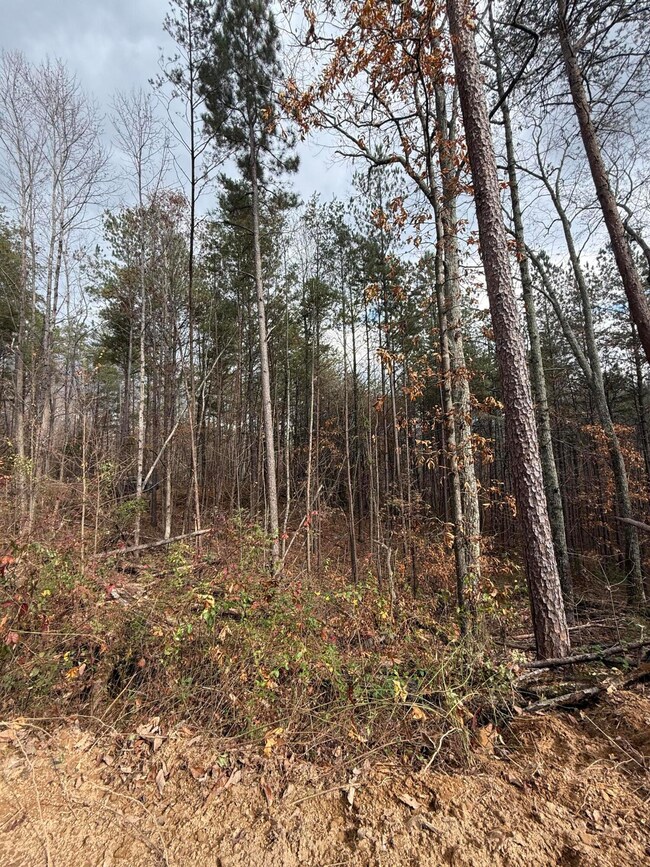 Lot 2 Parksville Rd, Benton, TN 37307 - photo 6