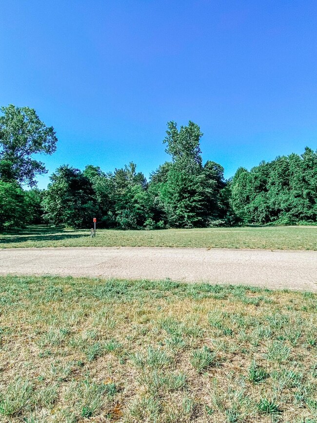 image6