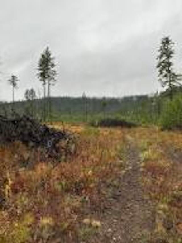 468X Lot C Grouse Creek Rd, Chewelah, WA 99109 - photo 2