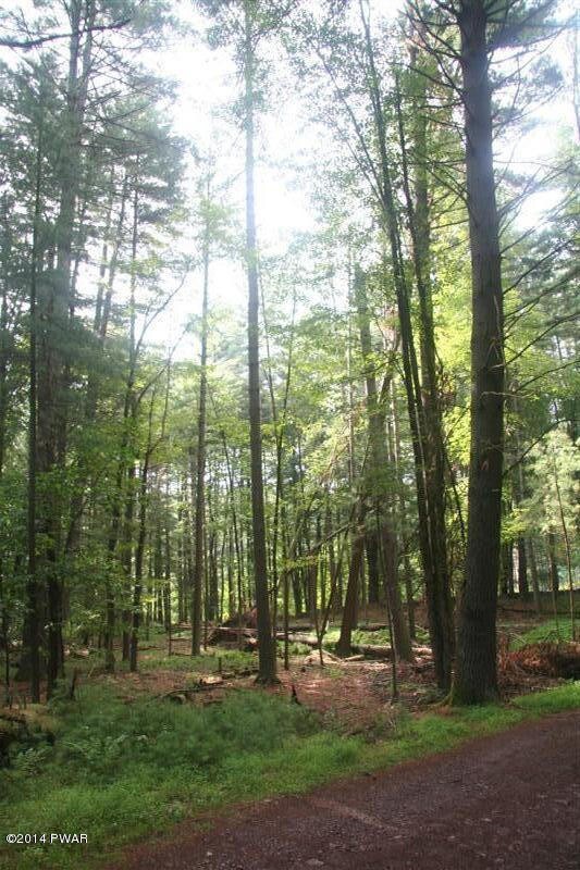 0 Church Rd, Lackawaxen, PA 18435 - photo 2