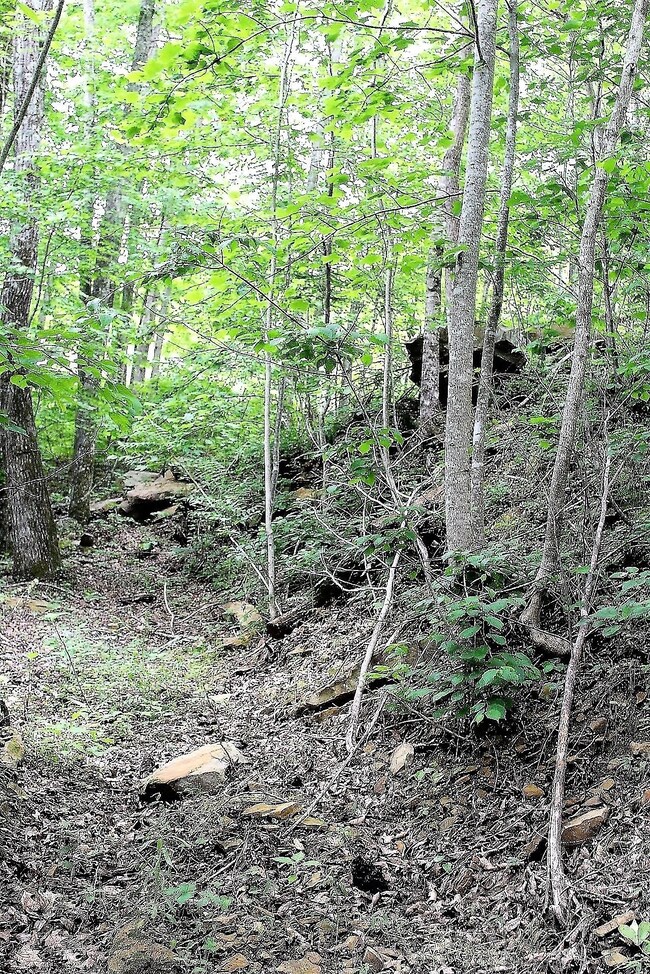 0 Old Mill Creek Rd, Monterey, TN 38574 - photo 6