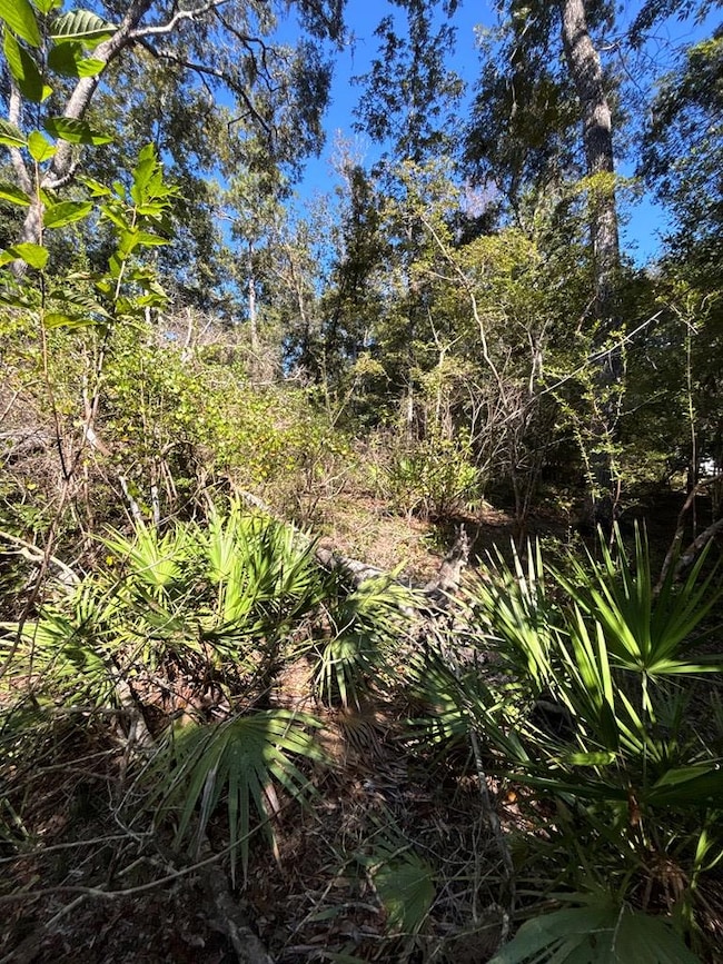 Lot 2 SE 843rd St, Old Town, FL 32680 - photo 5