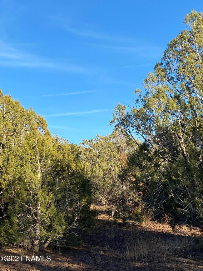 1025 Joseph Dr unit 158, Ash Fork, AZ 86320 - photo 7