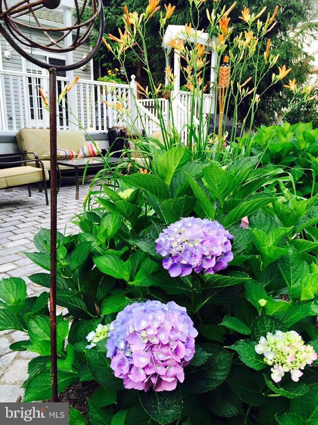 112 W D St, Brunswick, MD 21716 - photo 5