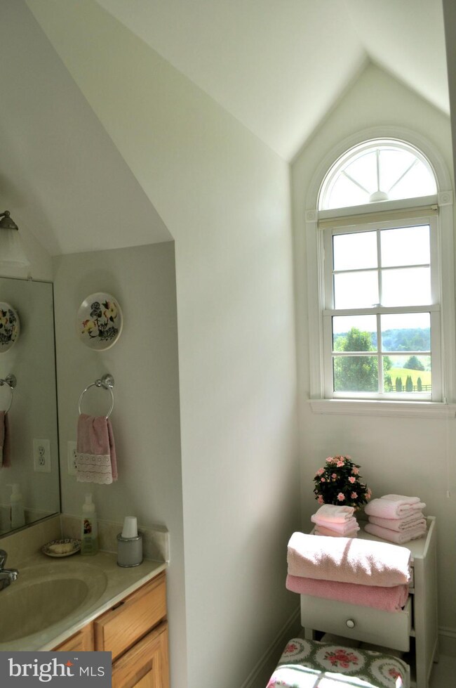 9486 Deer Run Ln, Marshall, VA 20115 - photo 5