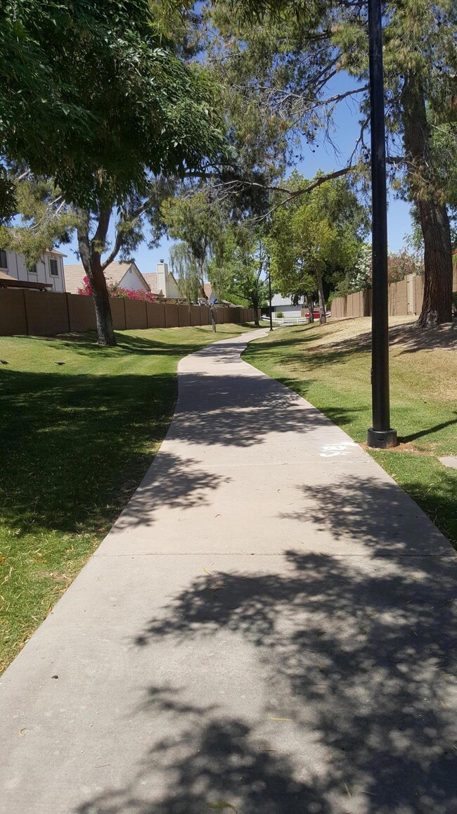 PARK5