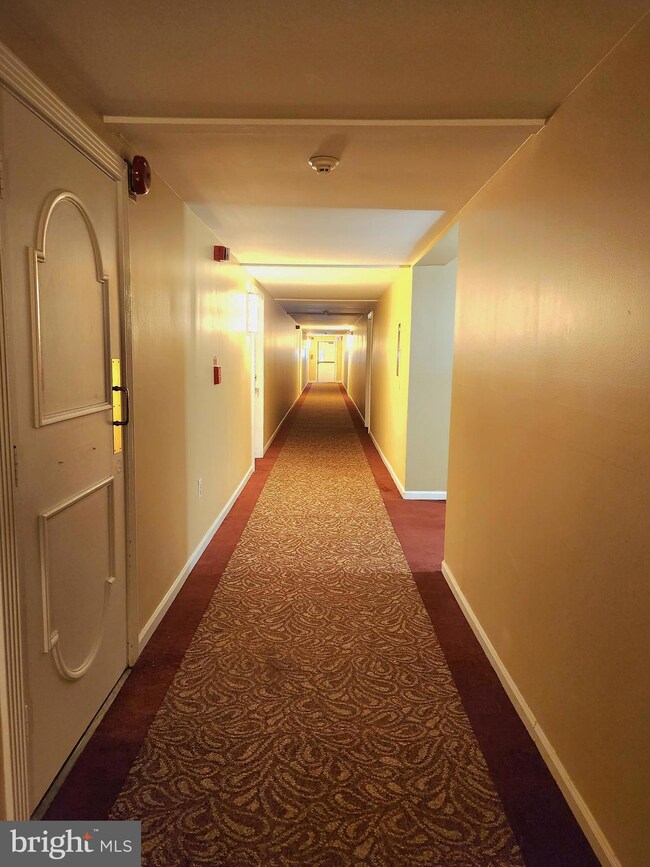 64 Welsh Tract Rd unit 205, Newark, DE 19713 - photo 6