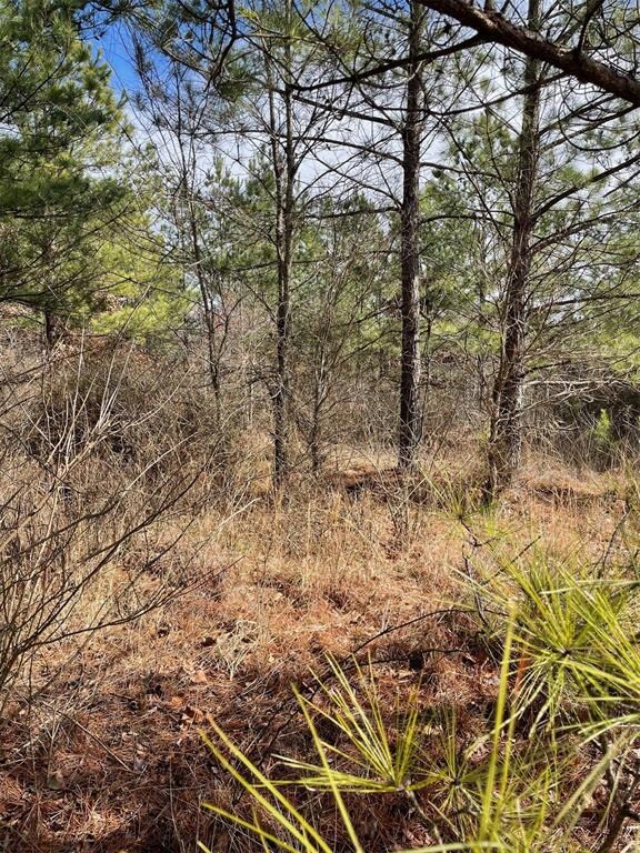 680 Timber Creek Trails South XI, Broken Bow, OK 74728 - photo 5