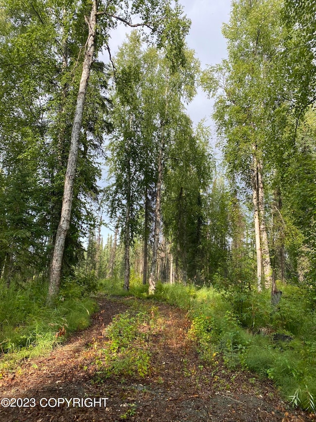 49375 S Noahs Cir, Willow, AK 99688 - photo 2