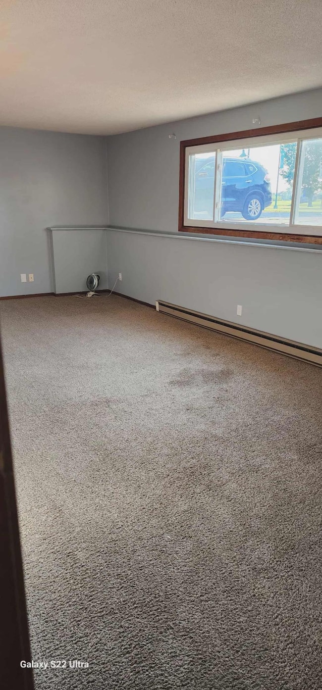 102 Lake Ave S unit 4, Spicer, MN 56288 - photo 5