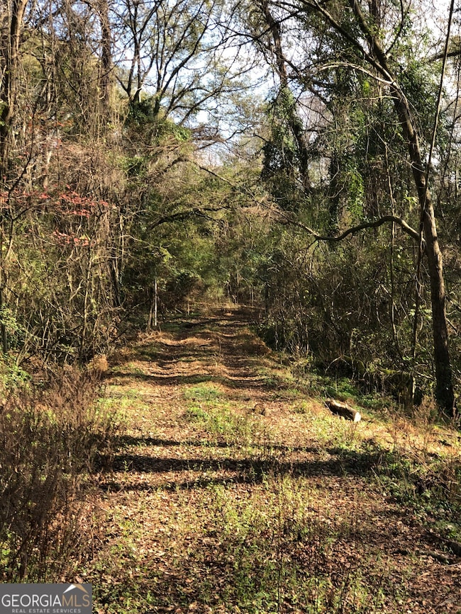 216 E Moores Crossing Rd, Thomaston, GA 30286 - photo 2