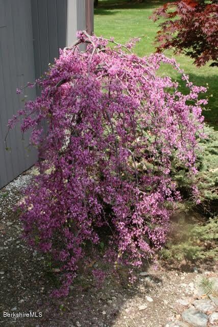 Landscaping detail