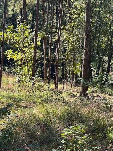 0 Poplar Creek Dr unit 25028030, Elloree, SC 29047 - photo 6