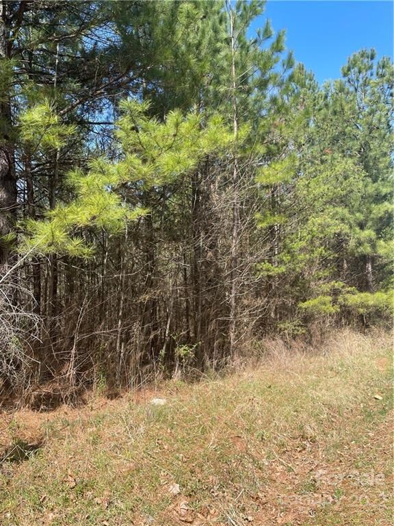 000 River Hill Rd, Statesville, NC 28625 - photo 4