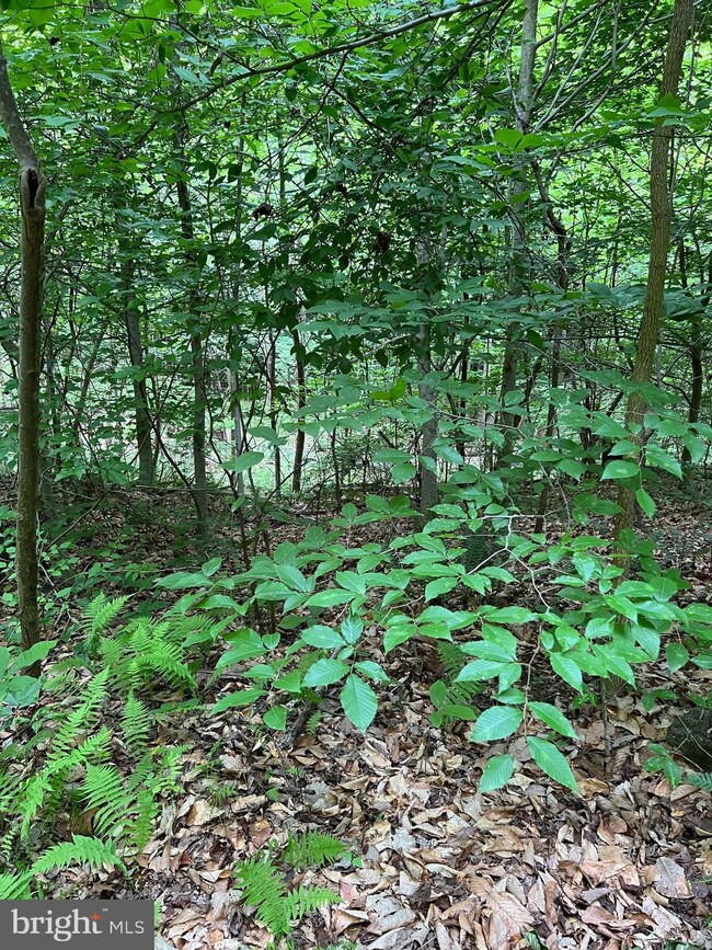 0 Quarry Rd unit VAST2021588, Stafford, VA 22554 - photo 6