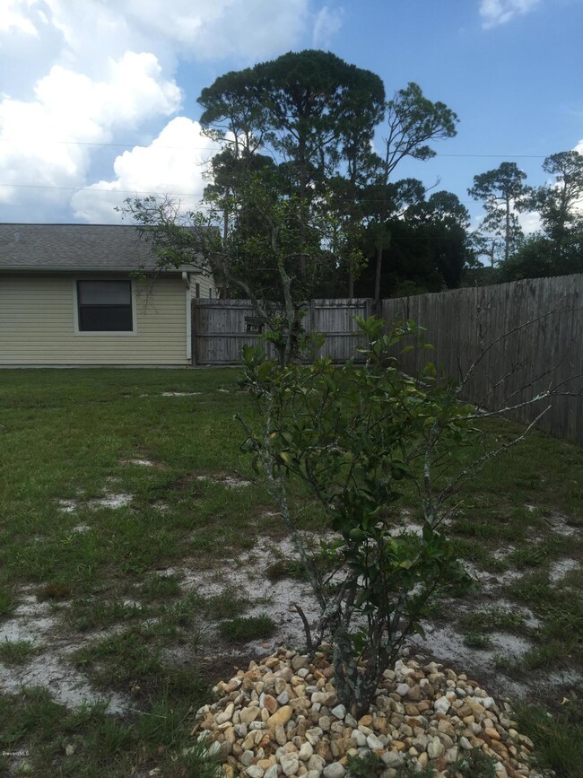 Side of Home/Fruit Trees