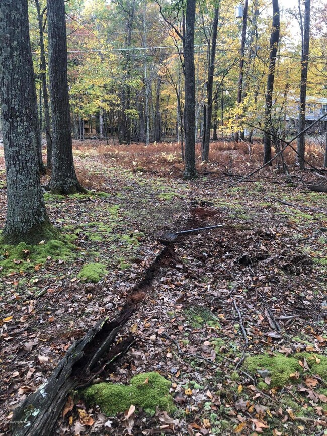 114 Falling Brook Ct, Blooming Grove Township, PA 18428 - photo 5