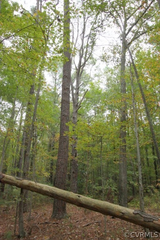 0 Vfw Rd unit 1528681, King William, VA 23181 - photo 7