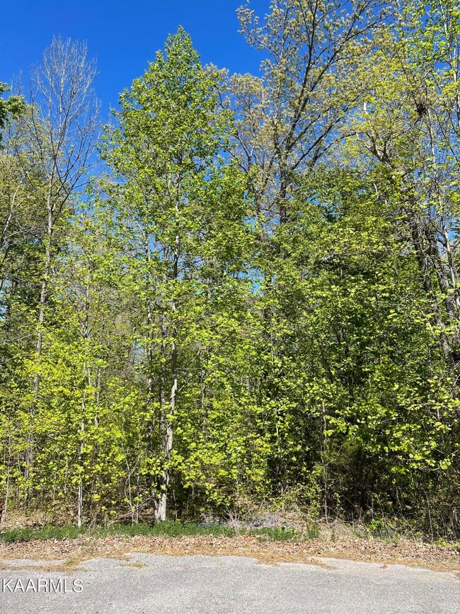 Lot 10 Tanner Way, Crossville, TN 38571 - photo 4