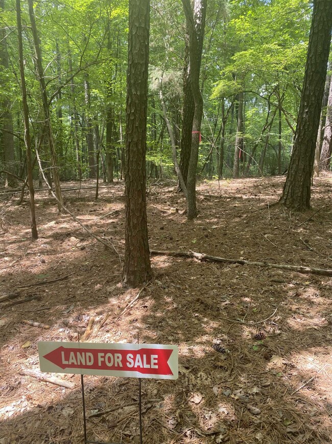 00 Dark Oaks Dr, Pittsboro, NC 27312 - photo 5