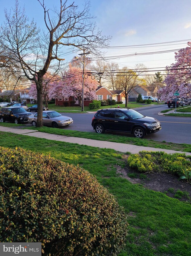 1619 N Wood Ave unit E1, Roselle, NJ 07203 - photo 2