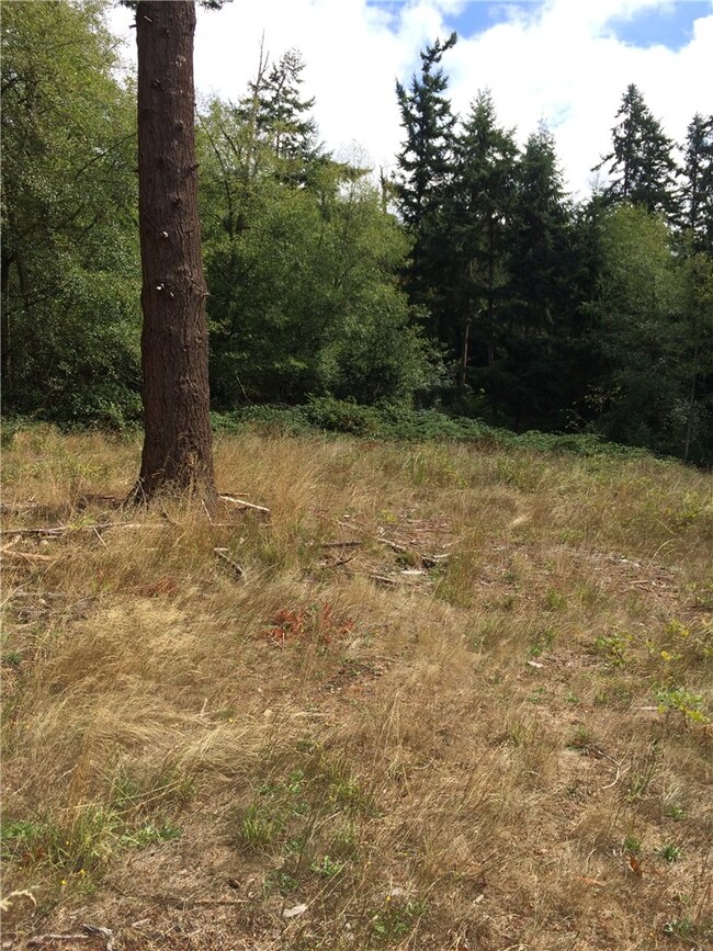 2812 Grimm Rd, Langley, WA 98260 - photo 3