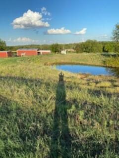 2684 N Cardinal Dr N, Reno, TX 76020 - photo 4