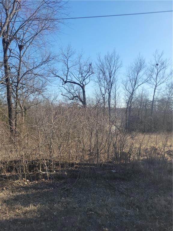 102 Maple Dr, Linn Valley, KS 66040 - photo 3