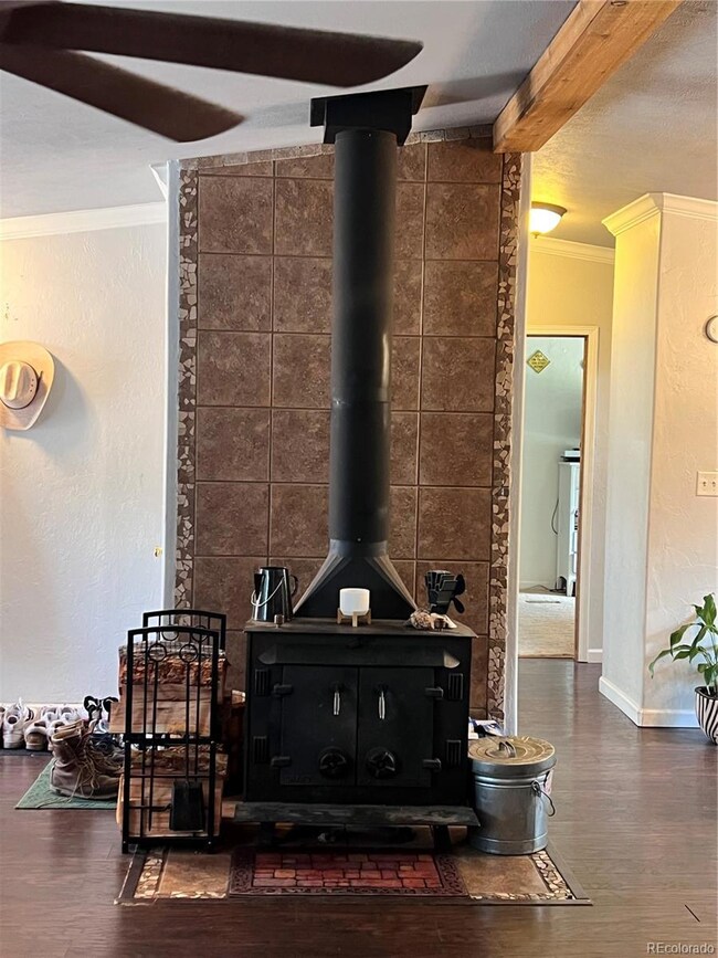 434 Blue Mountain Dr, Florissant, CO 80816 - photo 6