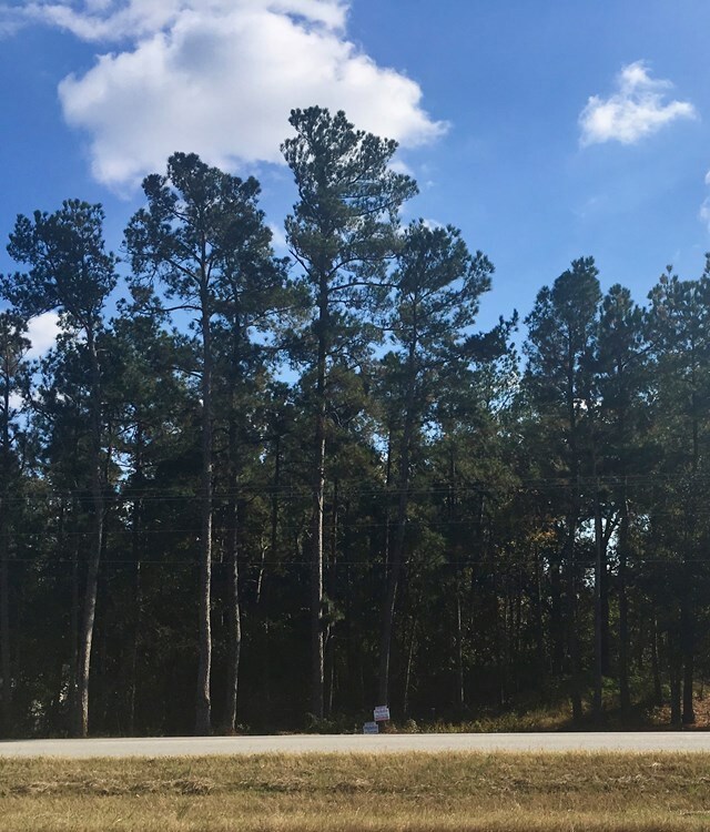 update photo 11/15/2017