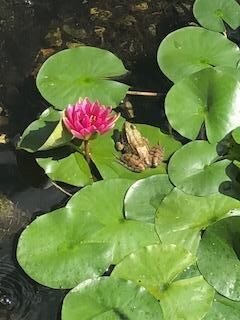 thumbnail_IMG_0973